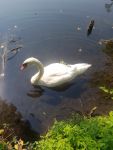 IMG 20190826 WA0014