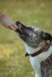 IMG 0500 IMG 0500