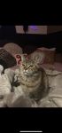 IMG 1263