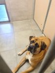 2022 08 Cassius