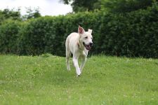 Luna Bild 3