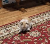 IMG 20230117 WA0001