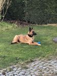 IMG 2
