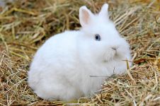 WhatsApp Image 2026 03 03 At 14.43.40