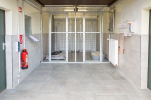 Behoerdenzwinger zur Aufnahme von Tieren nach Geschaeftsschluss