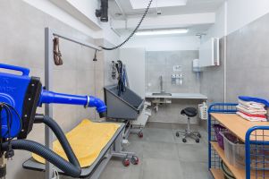 Tierpflegeraum - Groomerstation