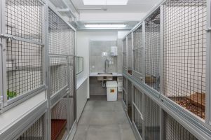 Stube für kleine Nager, wie Maeuse, Ratten, Hamster usw.