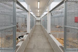 Kleintierhaus - Mittelgang