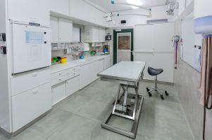 Tierarztraum mit Scherentisch