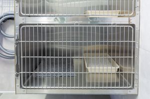 Krankenstation - Einzelboxen