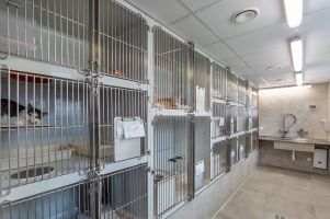 Quarantaene - Isolierstation