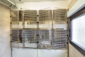 Sonderboxen für Kleintiere