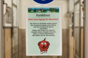 Eingang zum Hundehaus