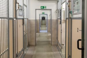 Hundehaus - Hauptgang