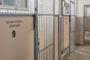 Hundehaus - Boxentueren mit Unterstuetzernamen