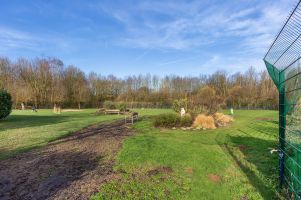 Hundewiese als Freilaufgelaende fuer Tierheimhunde und fuer Beratungsgespraeche mit Hunde-Interessenten