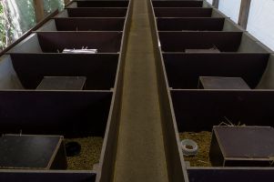 Igelhaus - Ueberwinterung im Aussenbereich