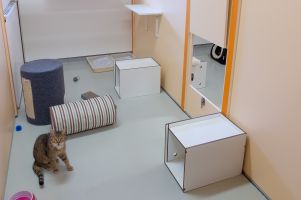 Katzenhaus - eine von 13 Katzenstuben
