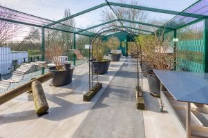 Aussenbereich für Freigaengerkatzen und verwilderte Hauskatzen