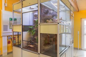 Terrarien-Turm im Eingangsbereich des Katzenhauses