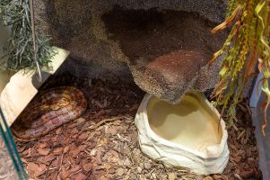 Terrarien-Turm im Eingangsbereich des Katzenhauses