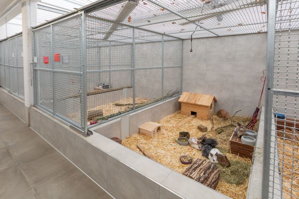 Tierheim Krefeld Rundgang