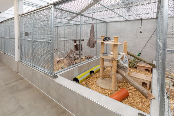 Tierheim Krefeld Rundgang